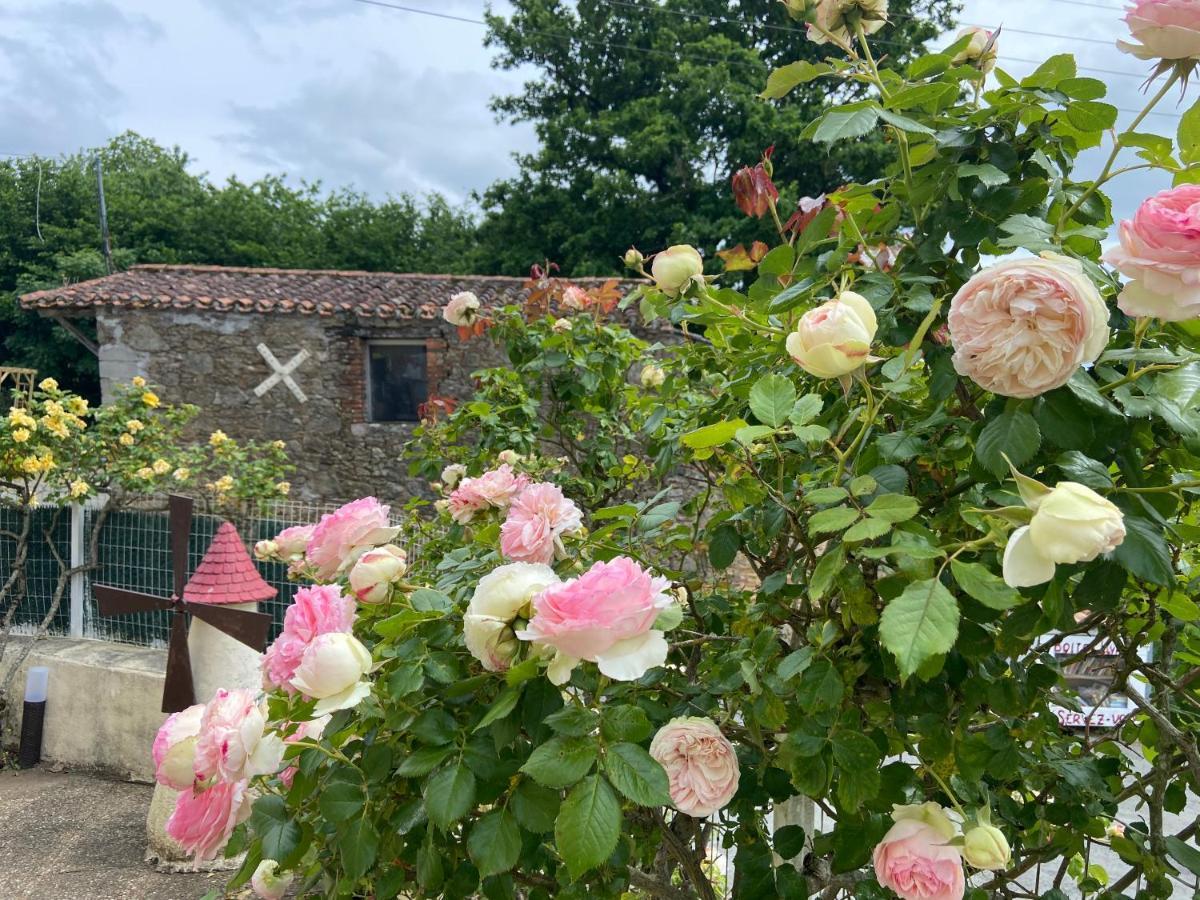 Hotel Le Petit Moulin Pouzauges Zewnętrze zdjęcie