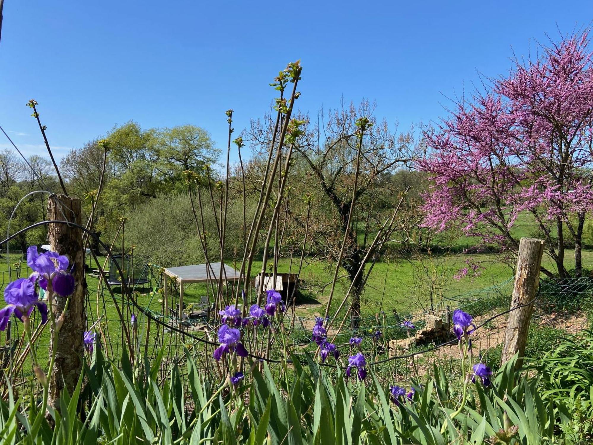 Hotel Le Petit Moulin Pouzauges Zewnętrze zdjęcie