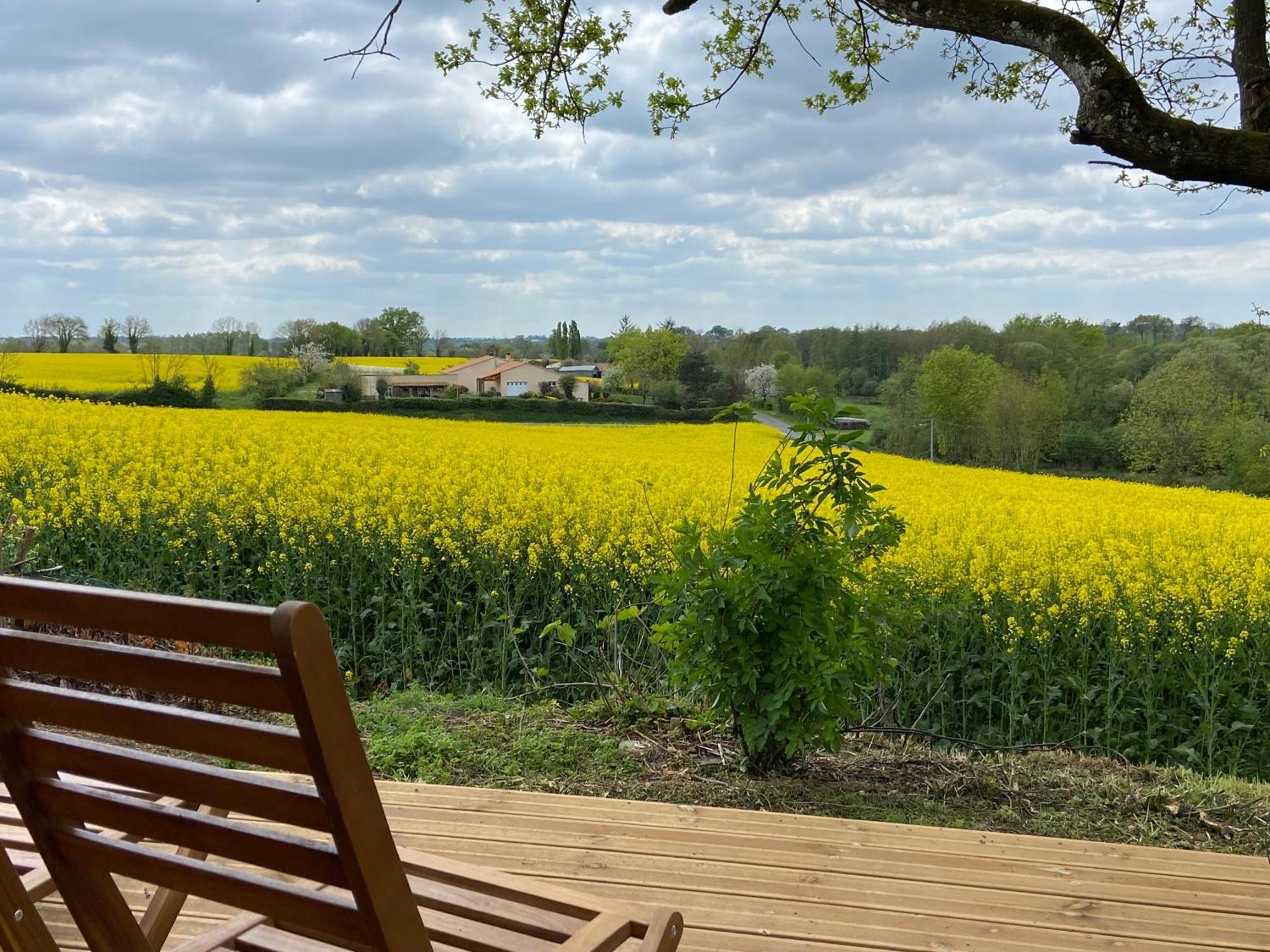 Hotel Le Petit Moulin Pouzauges Zewnętrze zdjęcie